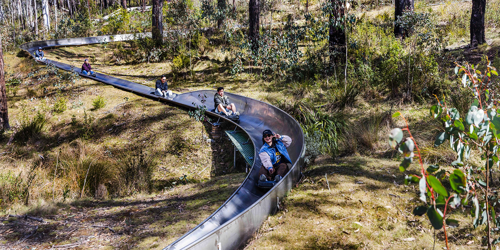 Alpine Slide - Four Sessions