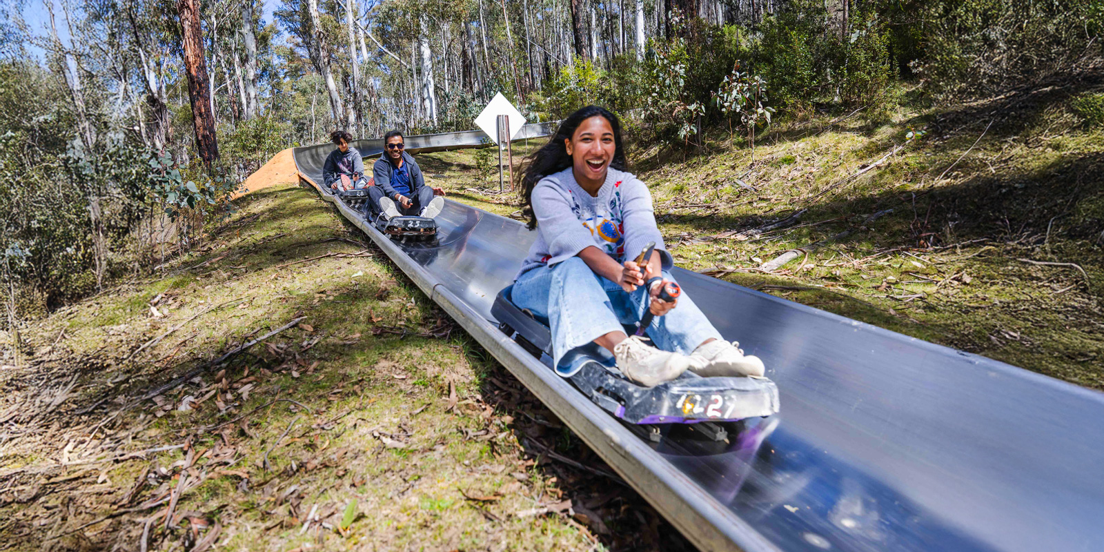 Alpine Slide - Three Sessions