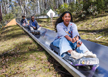 Alpine Slide - Three Sessions