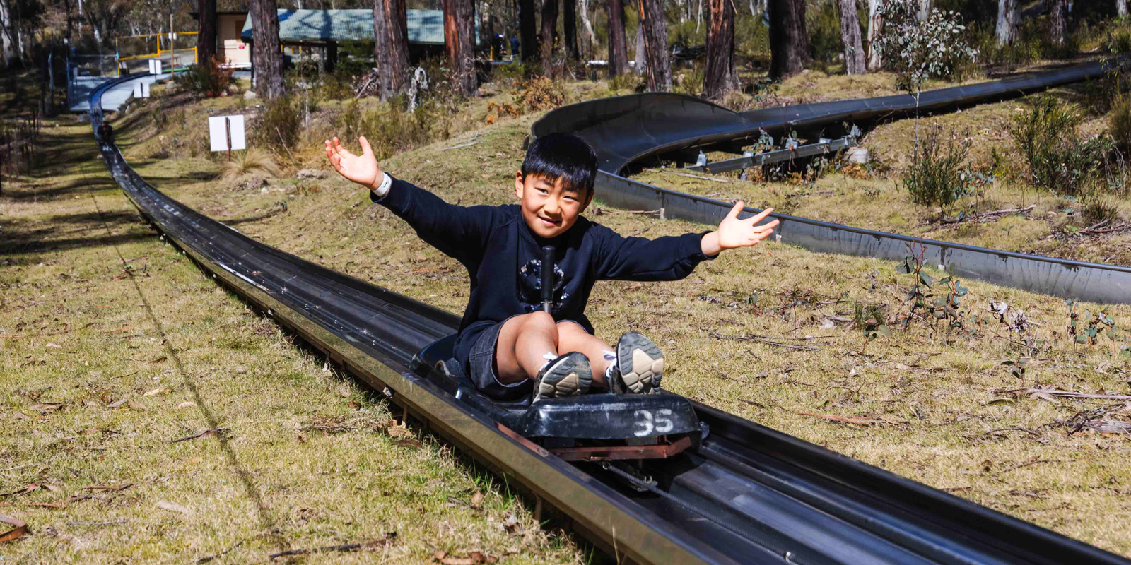 Alpine Slide - One Session