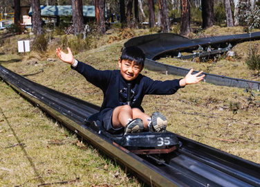 Alpine Slide - One Session