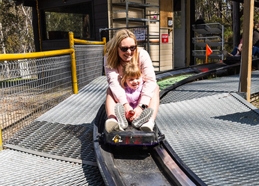 Alpine Slide - Two Sessions