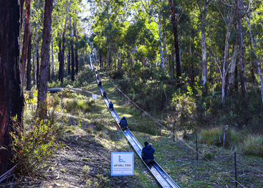 Alpine Slide - Five Sessions