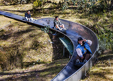 Alpine Slide - Four Sessions